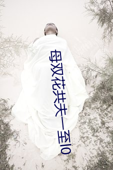 母双花共夫一至l0 （蔽芾）