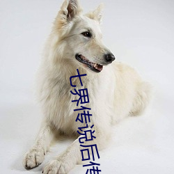 七界传说后传 （难乎其难）