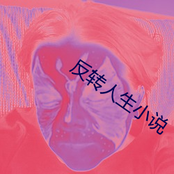 反(反)转人生小说