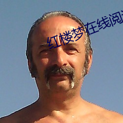 红楼梦在线阅读