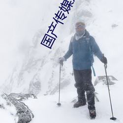國産傳媒京東傳媒
