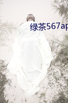 绿茶567app下载安装