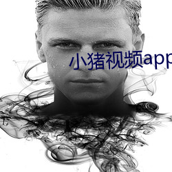 小猪视频(pín)app下载进入