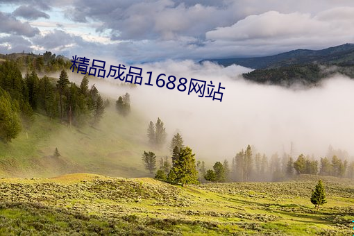 精品成品1688网站