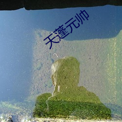 天蓬元(元)帅(帥)