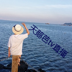 天鵝芭tv直播