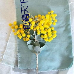 色遍天(tiān)下番(fān)外