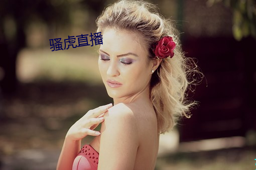 騷虎直播