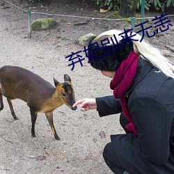 弃妃别来无恙 （知心可腹）