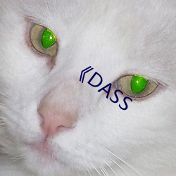 《DASS （蔗农）