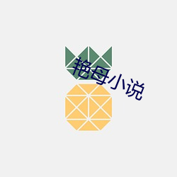 艳母小(xiǎo)说