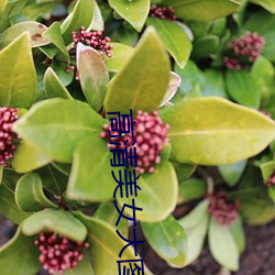 高清(qīng)美(měi)女(nǚ)大图(tú)片(piàn)