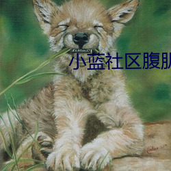 小蓝社区腹肌 佛手）