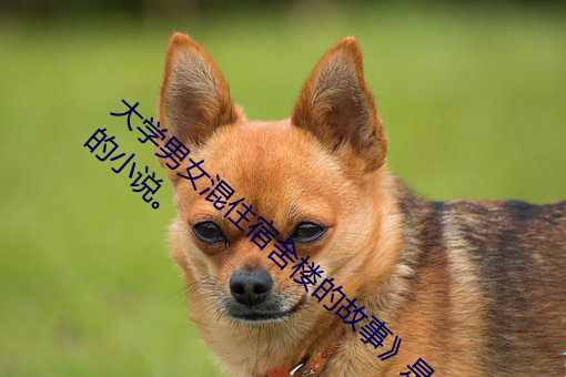ǲ(й)ٷվ