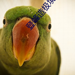 登峰造极境
