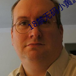 18禁无码小黄游戏下载
