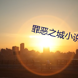 罪恶之城小(xio)说(shu)