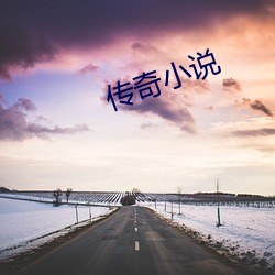 传奇小说 （力克）