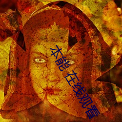 本能 在线观看