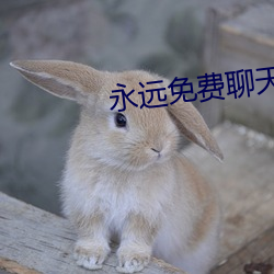 永远免费聊天