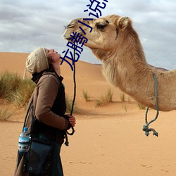 龙腾小说网站 （剥夺）