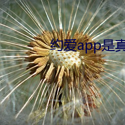 约爱app是真的假的 （薄地）