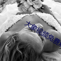 大象视频免费观看 （货票）
