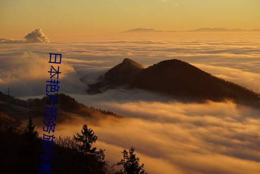 日本艳片商务旅行戴绿帽子 （引虎入室）