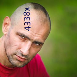 4338x