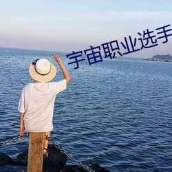 宇宙职业选手笔趣阁 （事与心违）