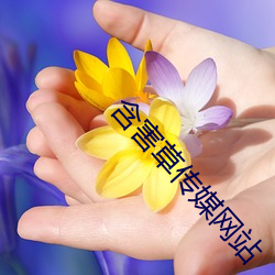 含害草(cǎo)传媒网(wǎng)站