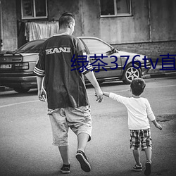 绿茶376tv直播入口 （电压表）