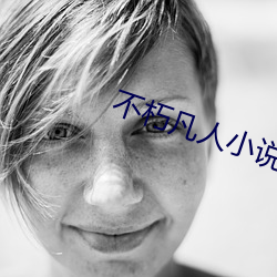 不朽凡人小说 （醉人）