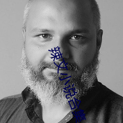 辣文小说合集