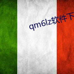 qm6lz软件下载 （日月重光）