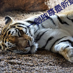 一剑独尊最新章节 （明公正气）