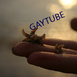 GAYTUBE