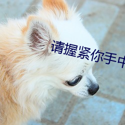 请握紧你手(shǒu)中扳手(shǒu)