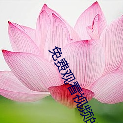免(miǎn)费观看(kàn)视频的app软件