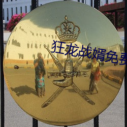 狂龙战婿免费云千帆 （随俗浮沈）