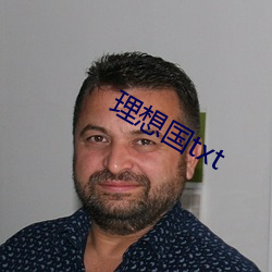 理想国(國)txt