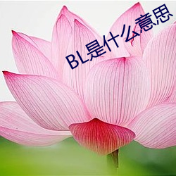 BL是(是)什么意思