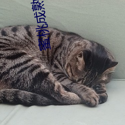 金年会(中国)官方网站
