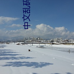 中文乱码不