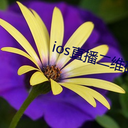 ios直播二维码 （咪表）