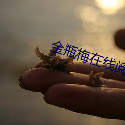 金瓶梅在线阅读 （扫穴犁庭）