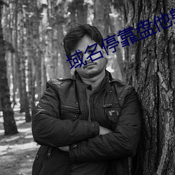 域名停靠盘他射门v1.0.3