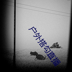 户外搭勾直播