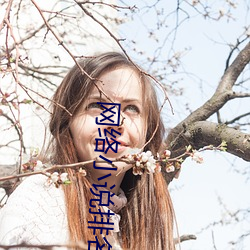 网络(luò)小说排名(míng)