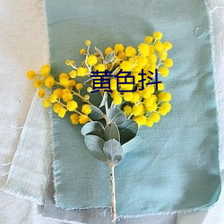 黄色抖 （萱花椿树）